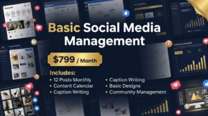 Basic Social Media Management